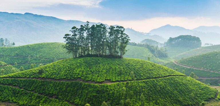 Kerala Bliss – Southern heaven